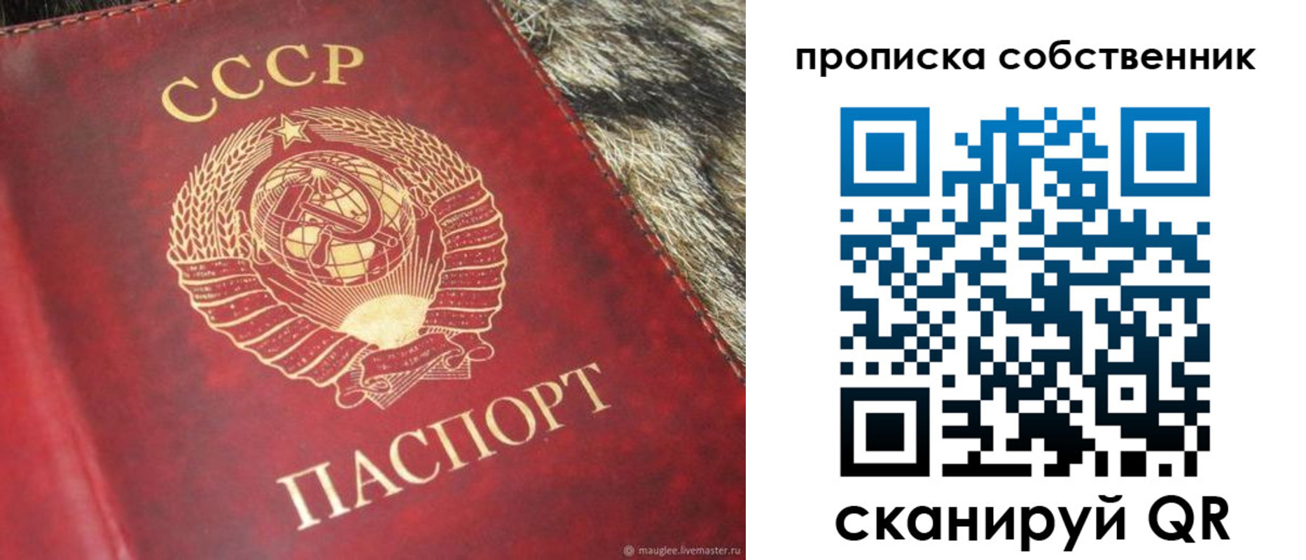 прописка в квартире в Киселёвске